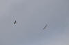 IMG_0054.JPG (5909932 bytes)