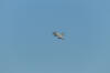 IMG_0675.JPG (5990559 bytes)