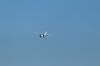 IMG_1353.JPG (6539272 bytes)