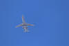 IMG_1897.JPG (5989840 bytes)