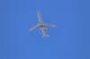 IMG_1898.JPG (6035046 bytes)