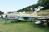 IMG_1975.JPG (10130592 bytes)