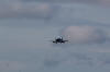 IMG_2490 1.JPG (6646415 bytes)