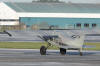 IMG_3392.JPG (5850254 bytes)
