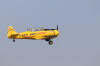IMG_8115.JPG (4775192 bytes)