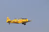 IMG_8116.JPG (5074382 bytes)