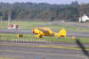IMG_8145.JPG (6464286 bytes)