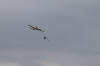 IMG_8478.JPG (9801748 bytes)